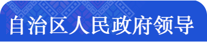 自治区政府领导