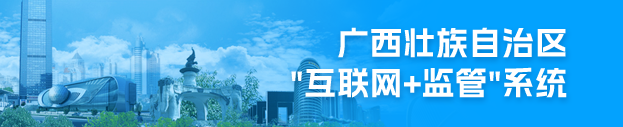 广西壮族自治区“互联网+监管”系统