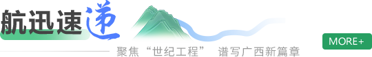 工作动态