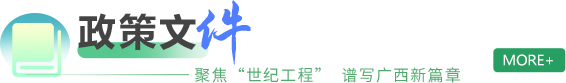 政策文件