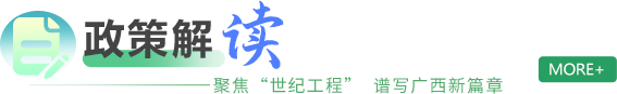 政策解读