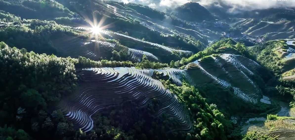 阳光在梯田上“跳舞”！这幅田园画卷太治愈了