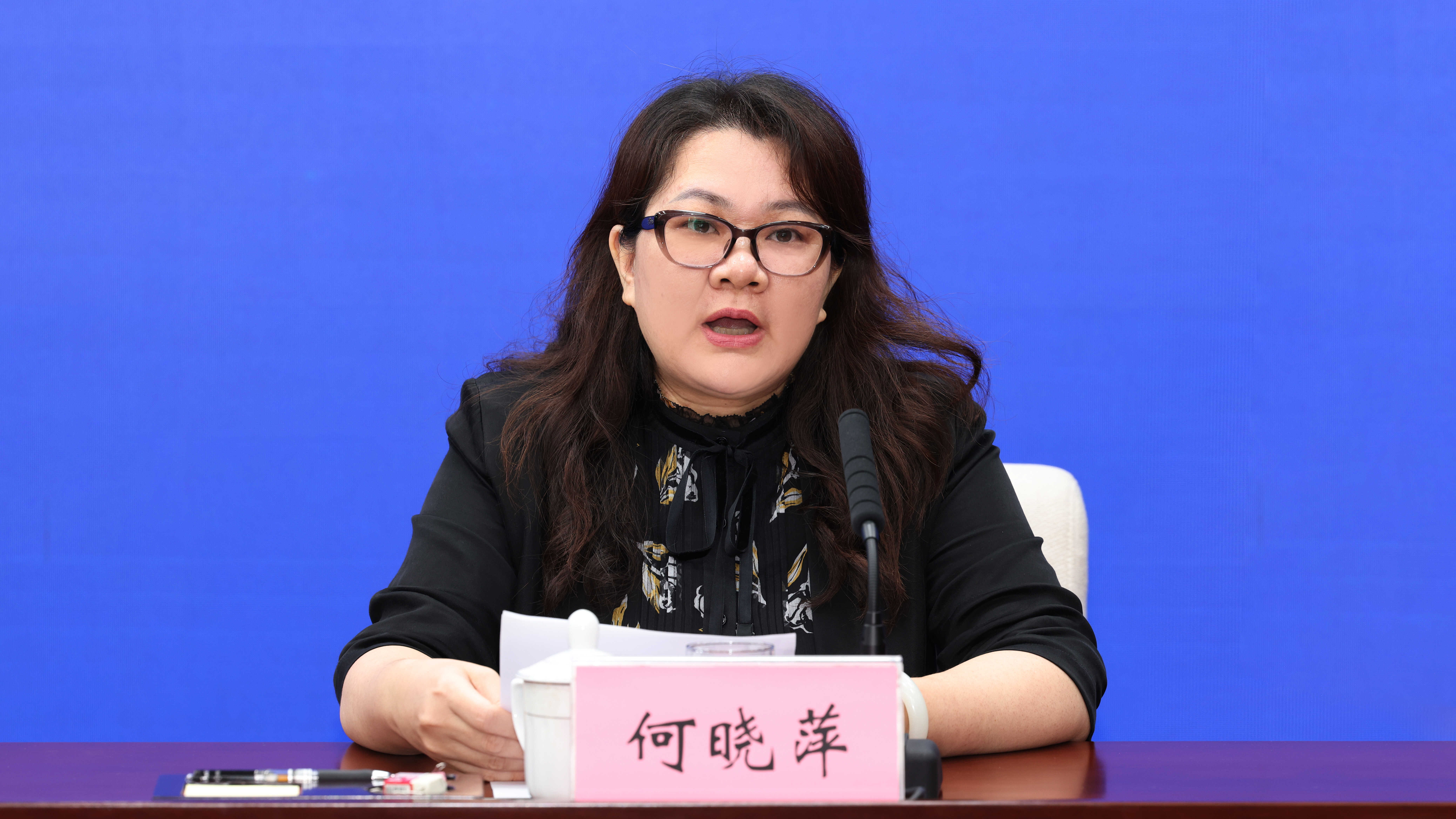 何晓萍.jpg